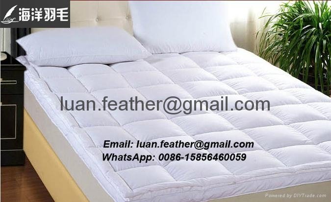 China Factory The Sea Feather Direct Sell White Goose Feather Queen Size Best Fe 3