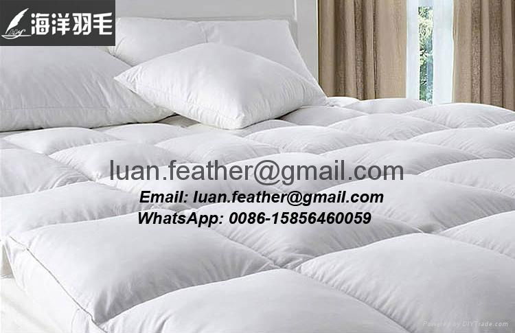 China Factory The Sea Feather Direct Sell White Goose Feather Queen Size Best Fe 4