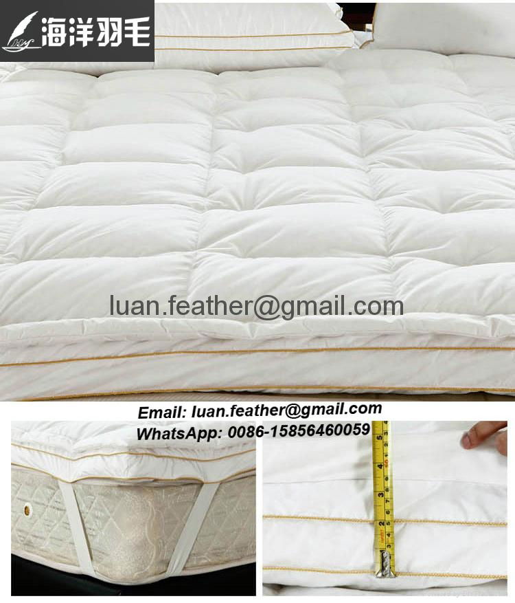 China Factory The Sea Feather Direct Sell White Goose Feather Queen Size Best Fe 5