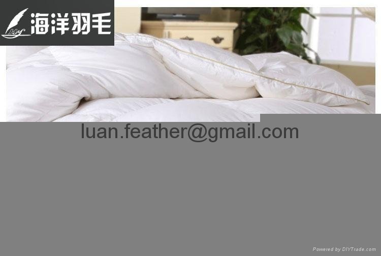 Top Selling Personalized 100% Cotton Four Season Baffle Box Luxury Hotel Goose D 2