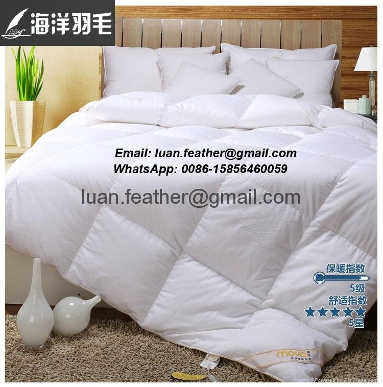 Top Selling Personalized 100% Cotton Four Season Baffle Box Luxury Hotel Goose D 4