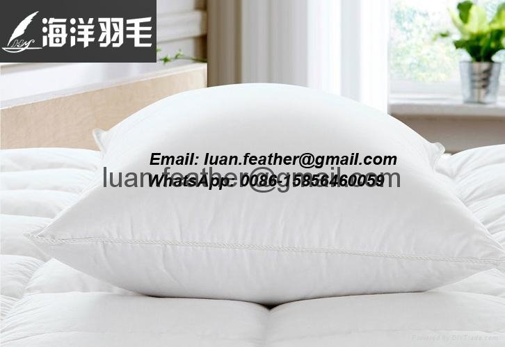 High Quality China factory wholesale Made in China superior quality feather and  2