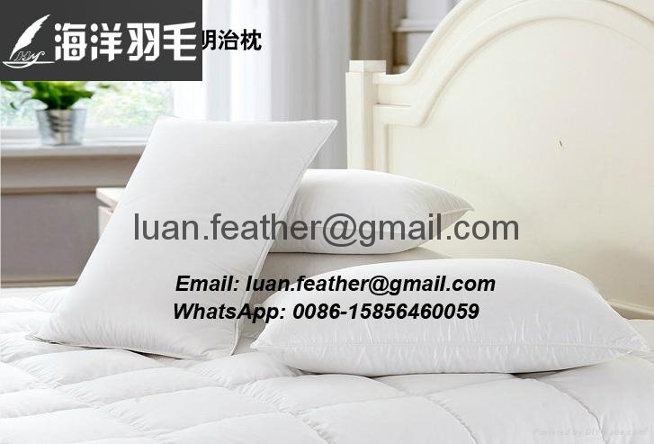 High Quality China factory wholesale Made in China superior quality feather and  3