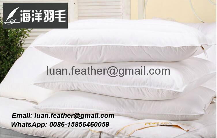High Quality China factory wholesale Made in China superior quality feather and  4