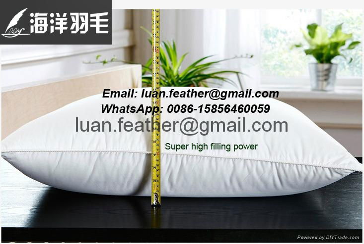 High Quality China factory wholesale Made in China superior quality feather and  5