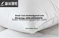 High Quality hotel duck feather and down pillow feather pillow luxury hotel pi