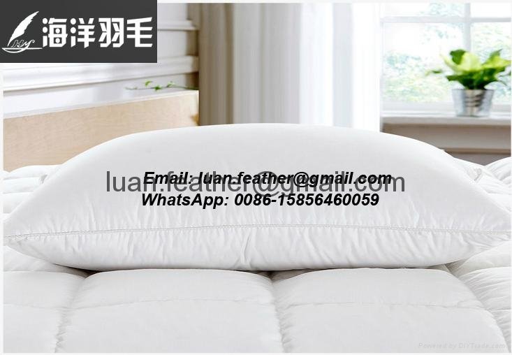 High Quality hotel duck feather and down pillow feather pillow luxury hotel pi 2