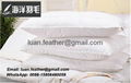 Luan The Sea Feather Company Feather & Down Pillows And Cushions 1