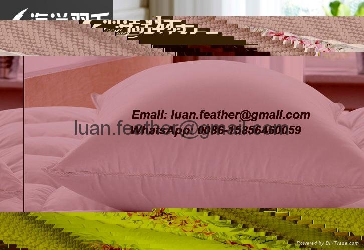 Luan The Sea Feather Company Feather & Down Pillows And Cushions 2