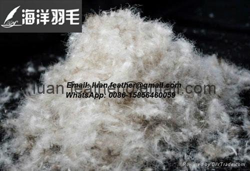 Wholesale bulk 75% white grey duck down and feather