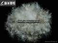 Wholesale bulk 75% white grey duck down and feather 3