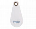 RFID PVC Key Fob