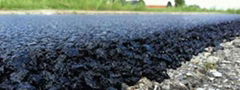 Performance grade bitumen