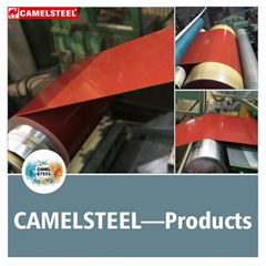 ppgi steel coil