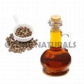 Clove Oil Co2 Extracted 1