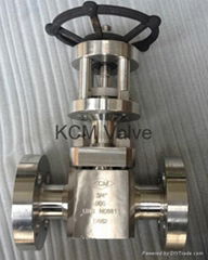 Nuclear safety class gate valve