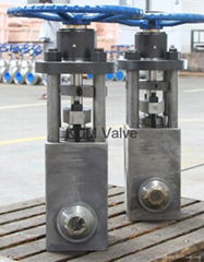 Nuclear safety class globe valve