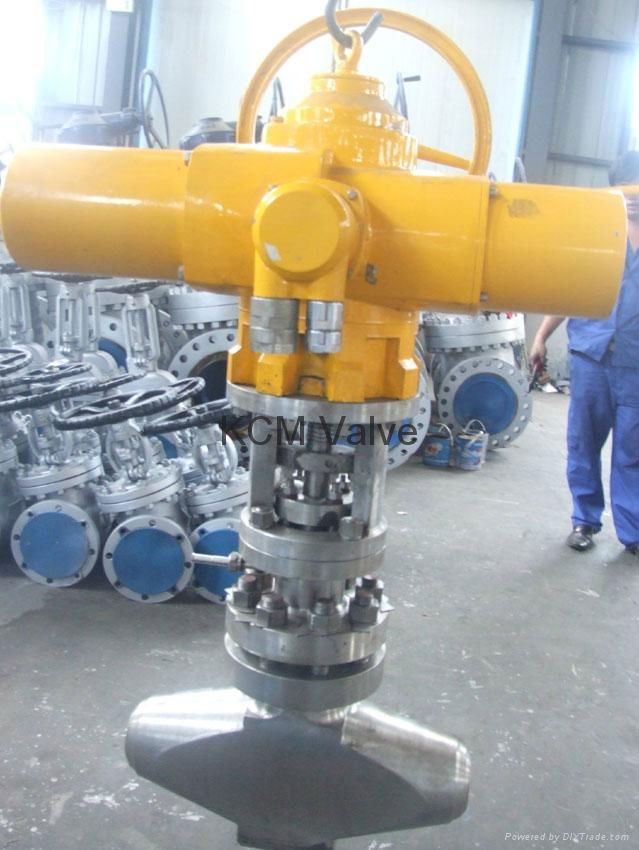 Nuclear safety class globe valve 2