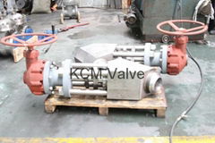 Hydrogen globe valve