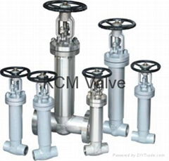 Bellow valves