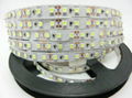 120 LED/m SMD3528 LED strip,5m 600 LED