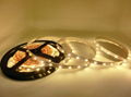 3528 SMD LED strip 240LED/m 3