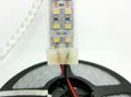 IP65 Waterproof SMD 3528 LED strip 240LED/m 1