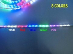 Colors Jump Changing 3528 LED Strip,Duilt-in Controller and DC12V Connector,IP65