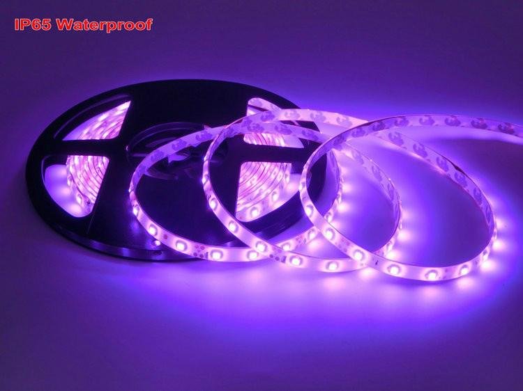 Pink Color LED Strip 3528 flexible light,DC12V 60 leds/m Waterproof and No Water 2