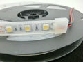 IP67 Waterproof 5050 LED Strip,12V 60LED