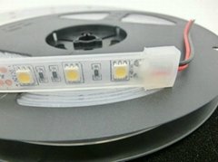 IP67 Waterproof 5050 LED Strip,12V 60LED/M White Warm White RGB