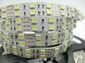 Double Row 5050 LED Strip Flexible Light DC12V 120LEDs/M 1