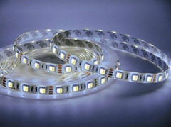 5050 Double Color  LED Strip