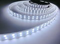 120LEDs/m Double Row SMD 5050 LED Strip 12V Silicone Tube Waterproof flexible Li 2