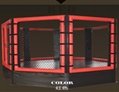 Gym China Customized Steel Boxing Ring MMA Octagon Cage For Sale 2