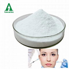 Top Quality Hyaluronic Acid Medical Grade, Bulk Hyaluronic Acid Raw Material Pow