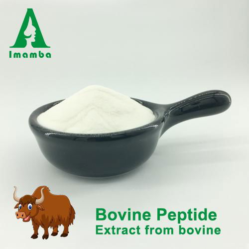 100%soluble odorless bovine collagen peptide powder,hydrolyzed beef collagen