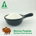 100%soluble odorless bovine collagen