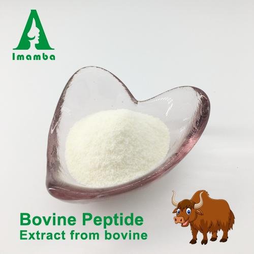 100%soluble odorless bovine collagen peptide powder,hydrolyzed beef collagen 2