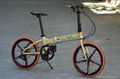 The folding bikes 1