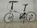 The folding bikes 3