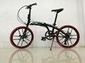 The folding bikes 1