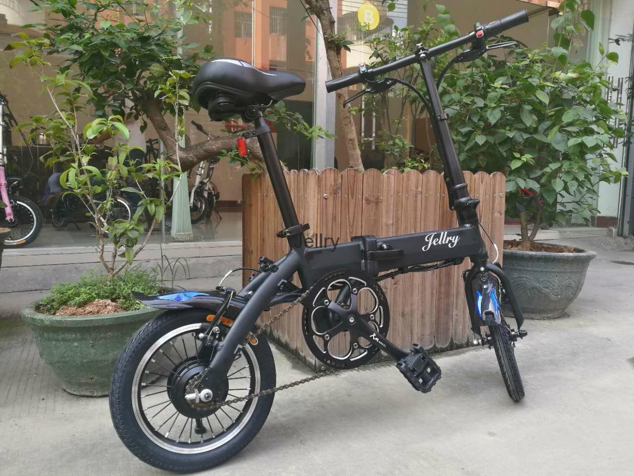 Lithium Battery Folding Bicycle 3