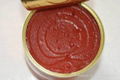 70G canned tomato paste 5