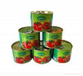 high quality bulk tomato paste 1