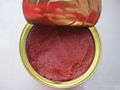 tomato paste 1