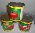 tomato paste 2