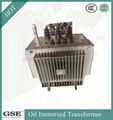 S11 30-2500 kVA Three-Phase 10kv Oil-Immersed Laminated Core Type Transformer 4