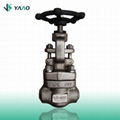 BW A182 F304L Forged Globe Valves 1