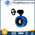 Worm Gear Double Flange Butterfly Valve